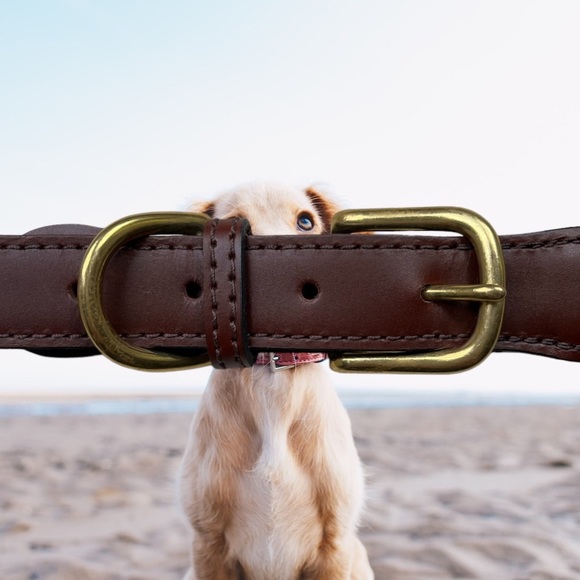 Auburn Pink Tartan Plaid Ribbon and Leather Dog Collar, sz 26” - Picture 7 of 8
